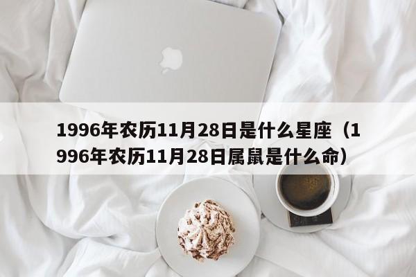 1996年农历11月28日是什么星座(1996年农历11月28日属鼠是什么命)