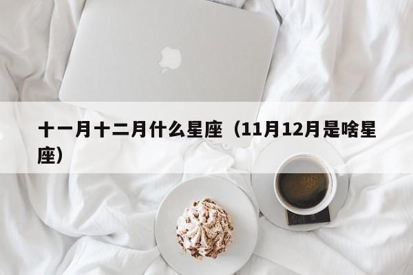 十一月十二月什么星座(11月12月是啥星座)