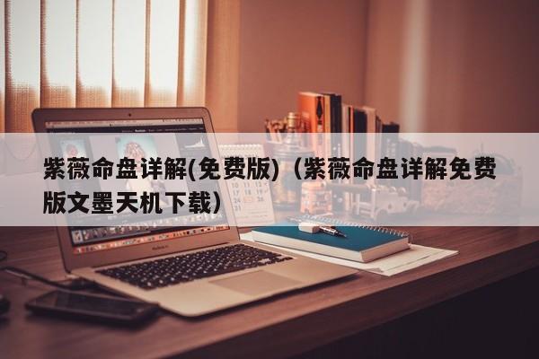 紫薇命盘详解(免费版)(紫薇命盘详解免费版文墨天机下载)