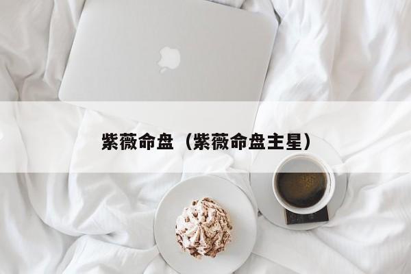 紫薇命盘(紫薇命盘主星)