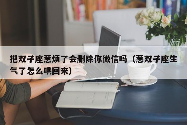 把双子座惹烦了会删除你微信吗(惹双子座生气了怎么哄回来)