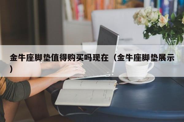 金牛座脚垫值得购买吗现在(金牛座脚垫展示)