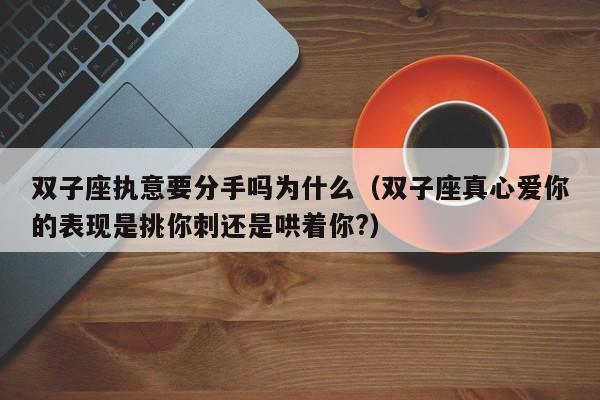 双子座执意要分手吗为什么(双子座真心爱你的表现是挑你刺还是哄着你?)