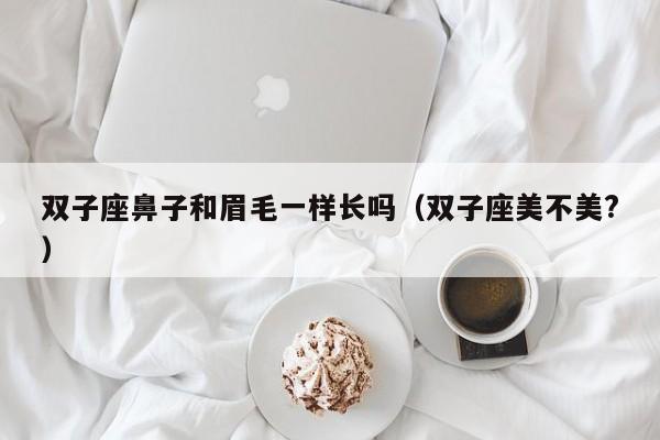 双子座鼻子和眉毛一样长吗(双子座美不美?)
