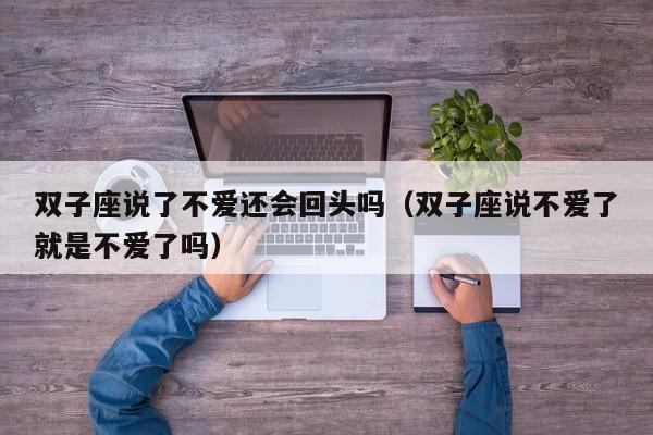 双子座说了不爱还会回头吗(双子座说不爱了就是不爱了吗)