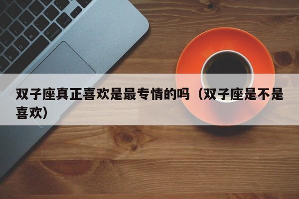 双子座真正喜欢是最专情的吗(双子座是不是喜欢)