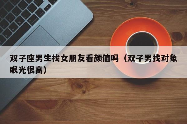 双子座男生找女朋友看颜值吗(双子男找对象眼光很高)
