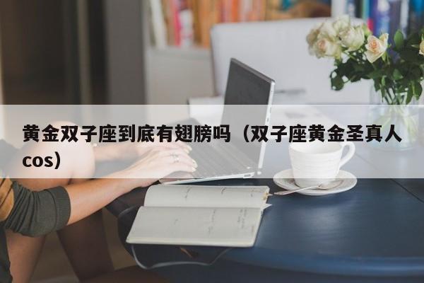 黄金双子座到底有翅膀吗(双子座黄金圣真人cos)