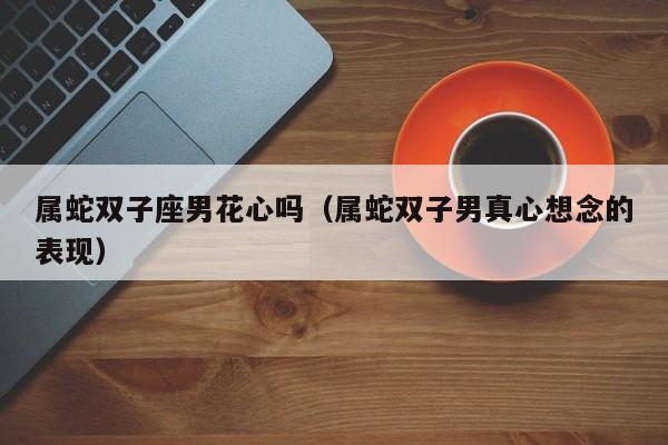 属蛇双子座男花心吗(属蛇双子男真心想念的表现)