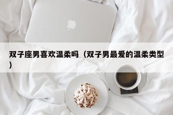 双子座男喜欢温柔吗(双子男最爱的温柔类型)
