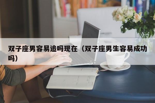 双子座男容易追吗现在(双子座男生容易成功吗)