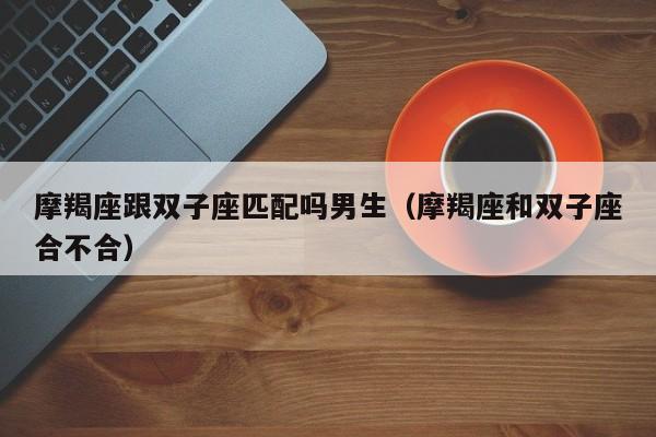 摩羯座跟双子座匹配吗男生(摩羯座和双子座合不合)