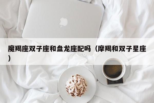 魔羯座双子座和盘龙座配吗(摩羯和双子星座)