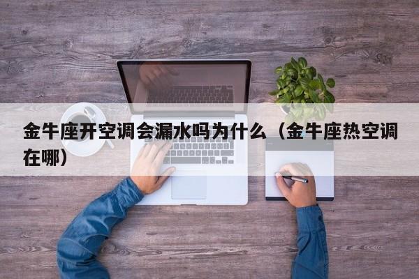 金牛座开空调会漏水吗为什么(金牛座热空调在哪)