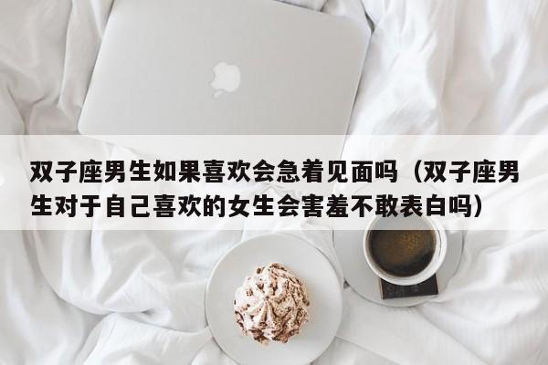 双子座男生如果喜欢会急着见面吗(双子座男生对于自己喜欢的女生会害羞不敢表白吗)
