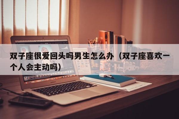 双子座很爱回头吗男生怎么办(双子座喜欢一个人会主动吗)