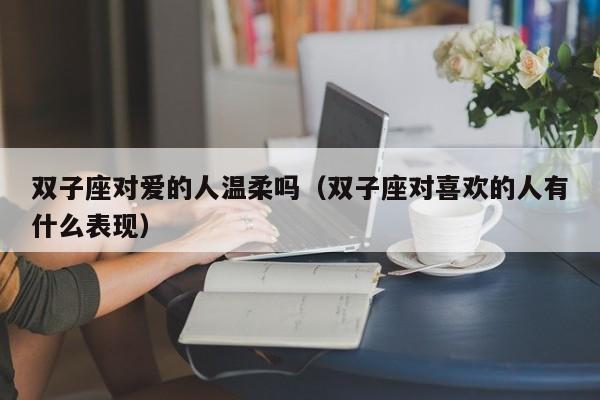 双子座对爱的人温柔吗(双子座对喜欢的人有什么表现)