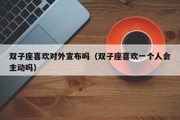 双子座喜欢对外宣布吗(双子座喜欢一个人会主动吗)