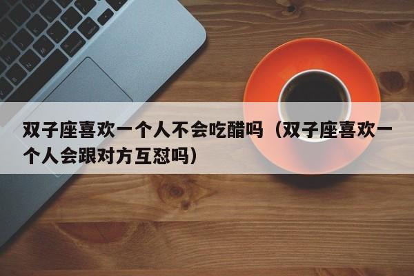 双子座喜欢一个人不会吃醋吗(双子座喜欢一个人会跟对方互怼吗)