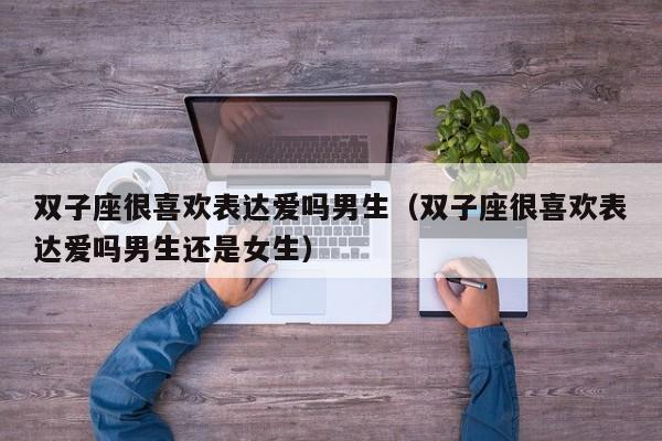 双子座很喜欢表达爱吗男生(双子座很喜欢表达爱吗男生还是女生)