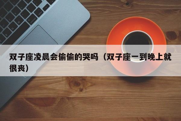 双子座凌晨会偷偷的哭吗(双子座一到晚上就很丧)