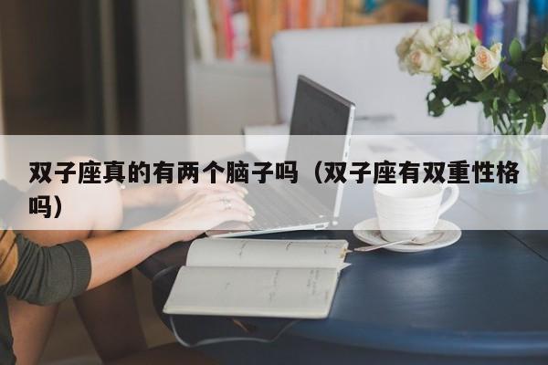 双子座真的有两个脑子吗(双子座有双重性格吗)
