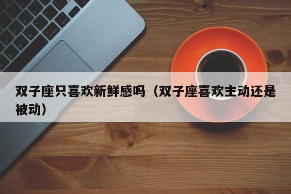 双子座只喜欢新鲜感吗(双子座喜欢主动还是被动)