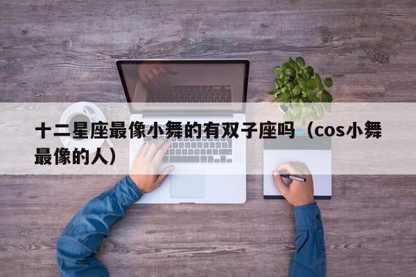 十二星座最像小舞的有双子座吗(cos小舞最像的人)