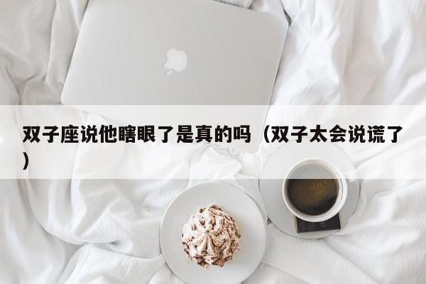 双子座说他瞎眼了是真的吗(双子太会说谎了)