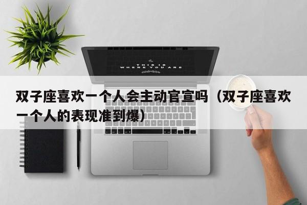 双子座喜欢一个人会主动官宣吗(双子座喜欢一个人的表现准到爆)