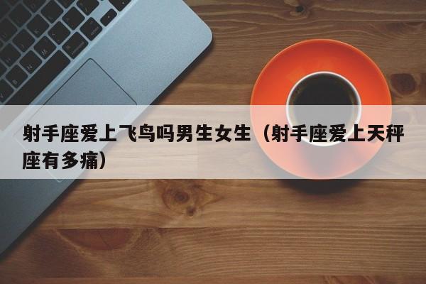 射手座爱上飞鸟吗男生女生(射手座爱上天秤座有多痛)