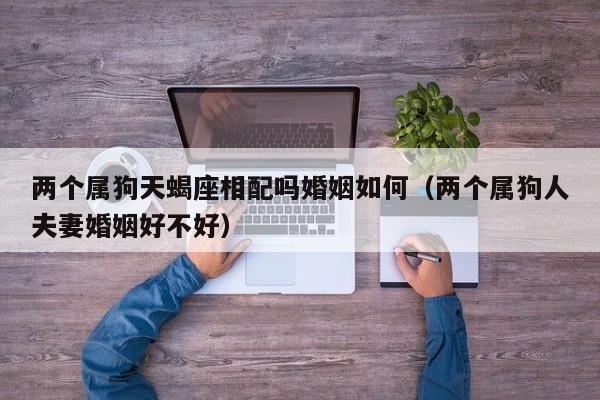 两个属狗天蝎座相配吗婚姻如何(两个属狗人夫妻婚姻好不好)